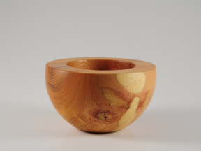 Gleditschie: Durchmesser 18,5cm, Höhe 10,8cm