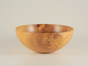 Platane: Durchmesser 25cm, Höhe 10cm